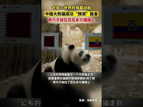 斯图加特晋,级德国足协,杯八强战,QiuYou,Sports,QY球友会,QY球友会体育入口,QY球友会官网,QY球友会体育APP下载