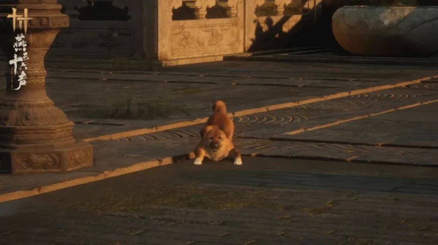 年全国青少,年足球赛事,安排正式公,QiuYou,Sports,QY球友会,QY球友会体育入口,QY球友会官网,QY球友会体育APP下载